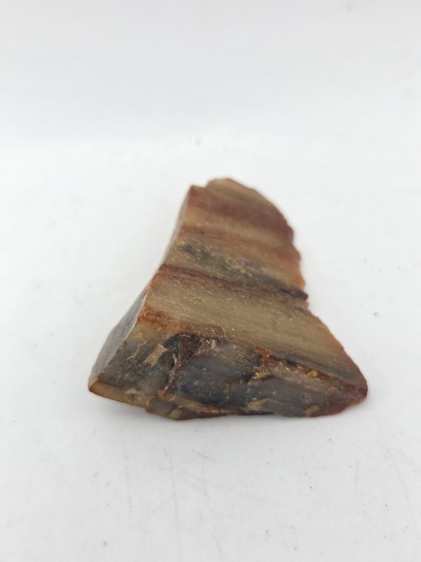 Small Banded Agatized Petrified Wood