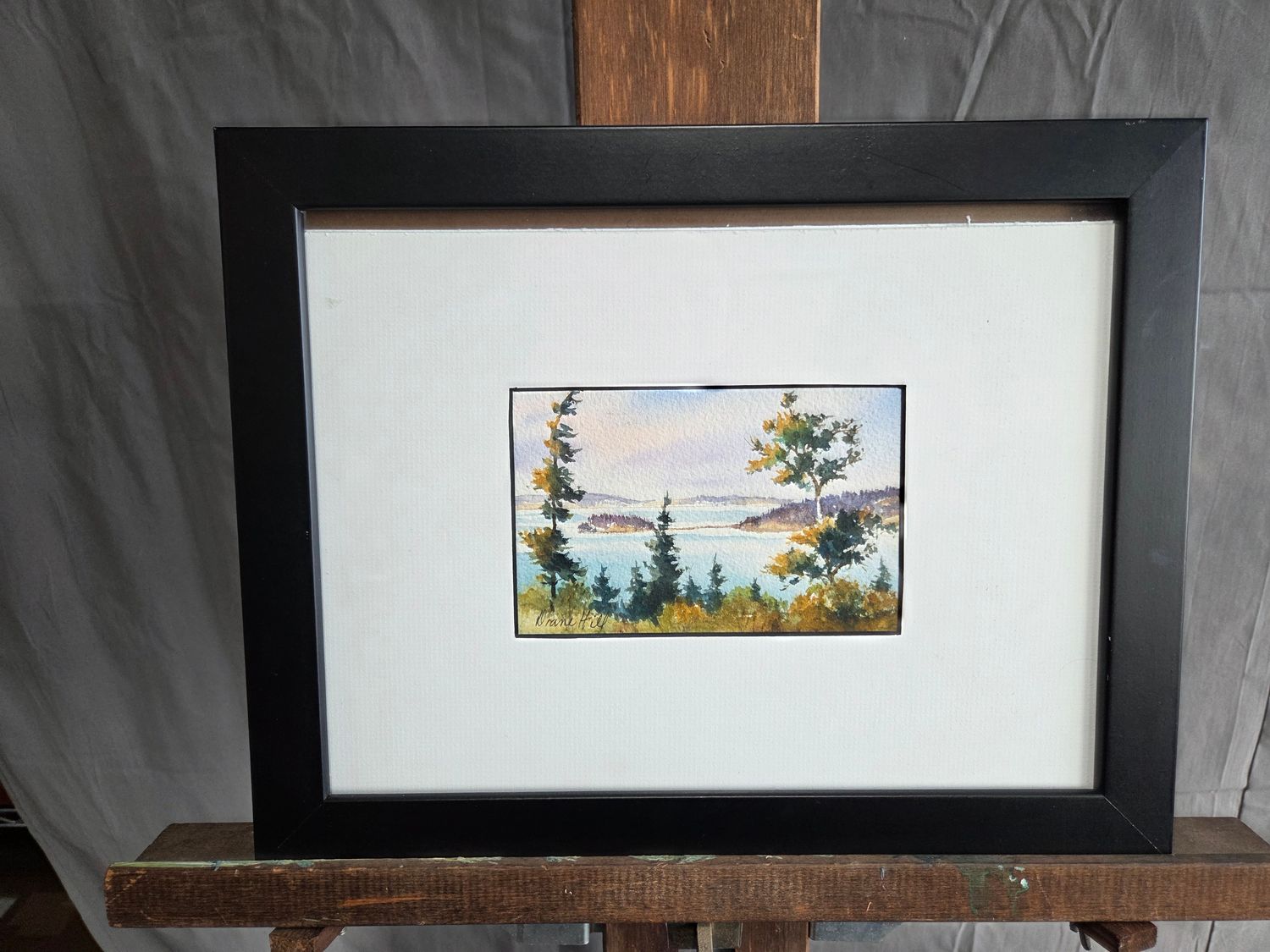 Coastal Landscape - Diane Hill