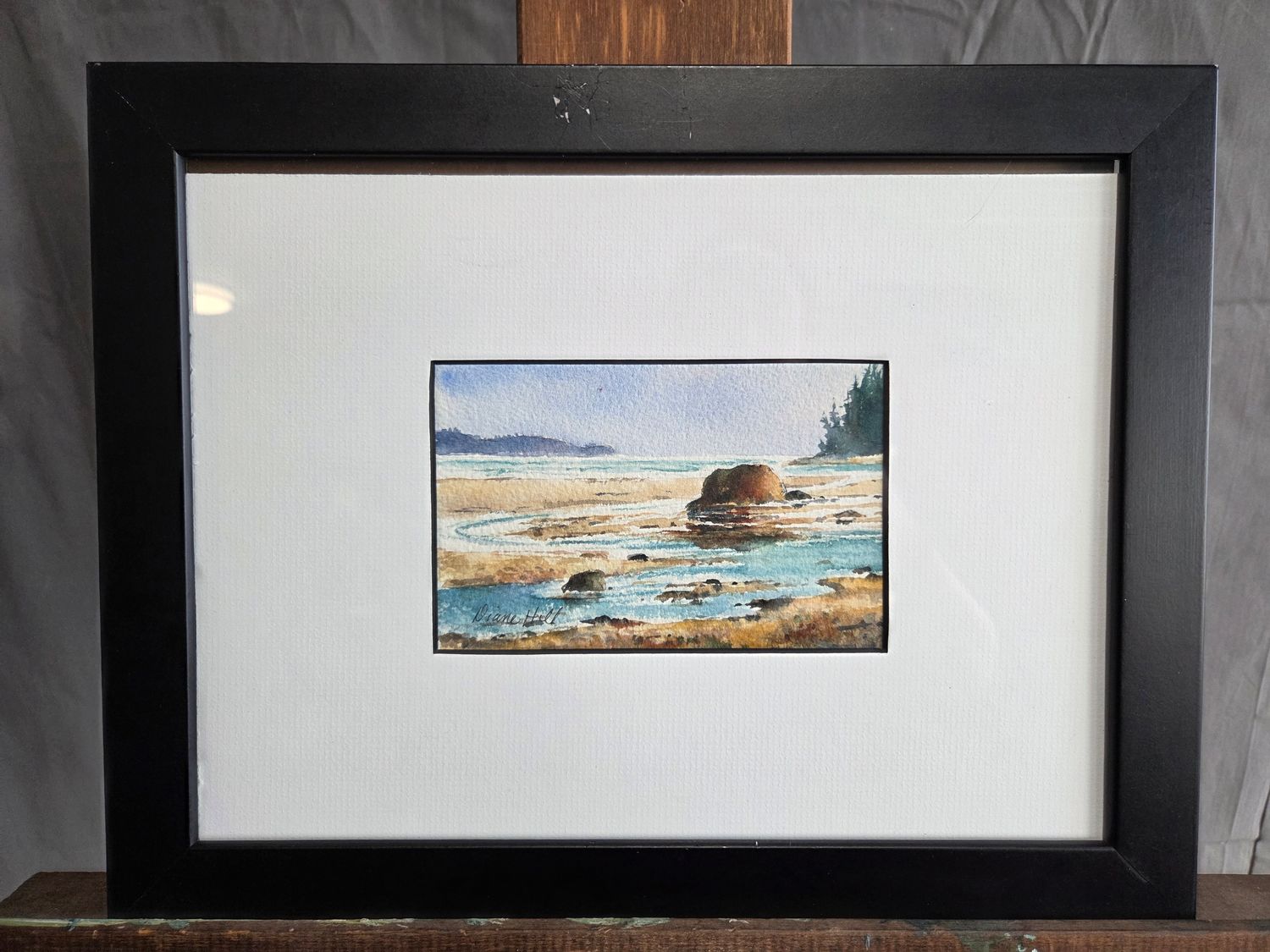 Coastal Beach - Diane Hill