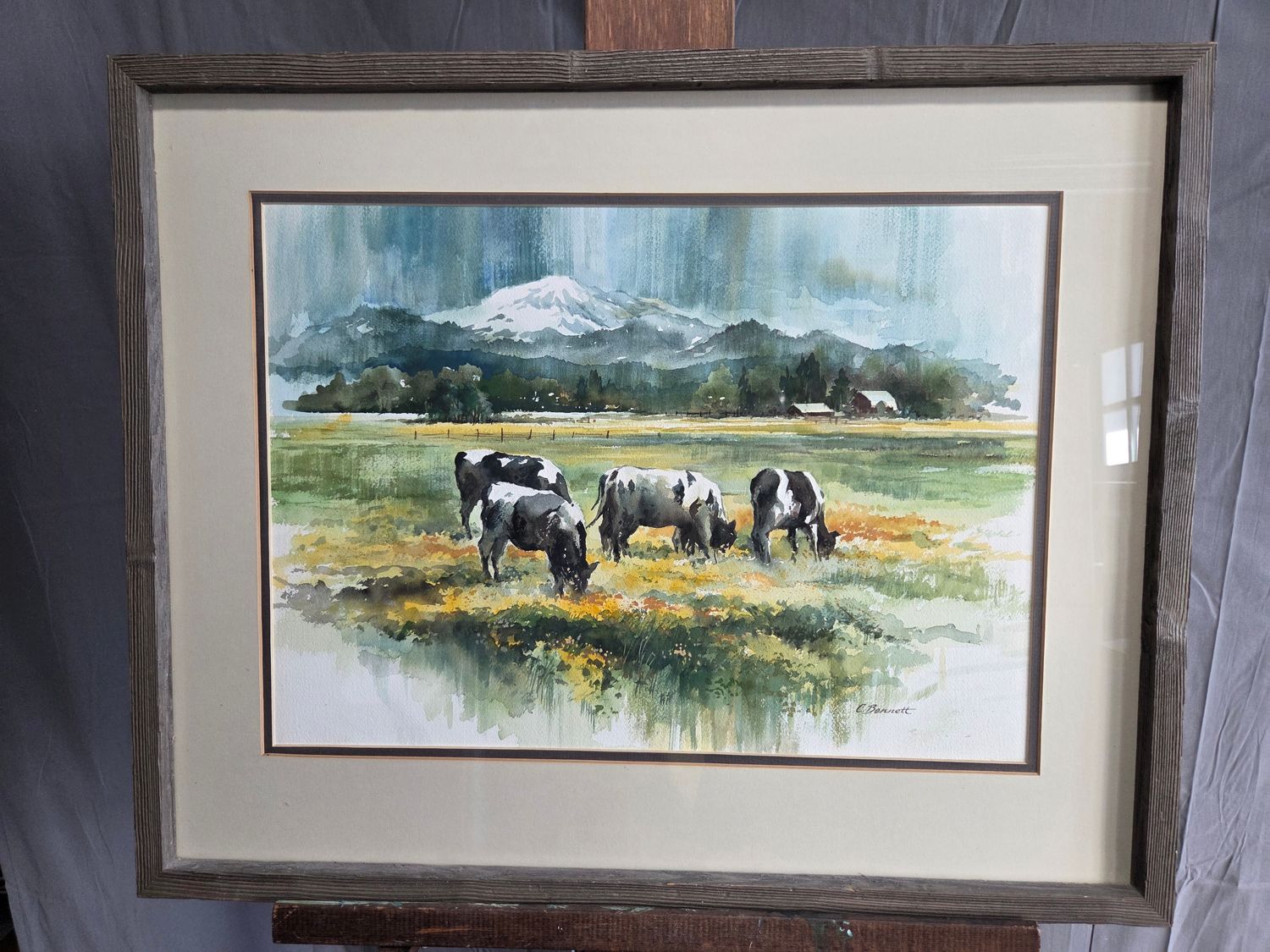 Grazing Cattle - C. Bennett