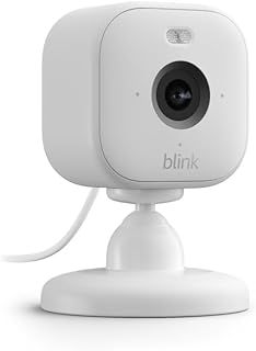 Blink Mini Camera for Home and pet security