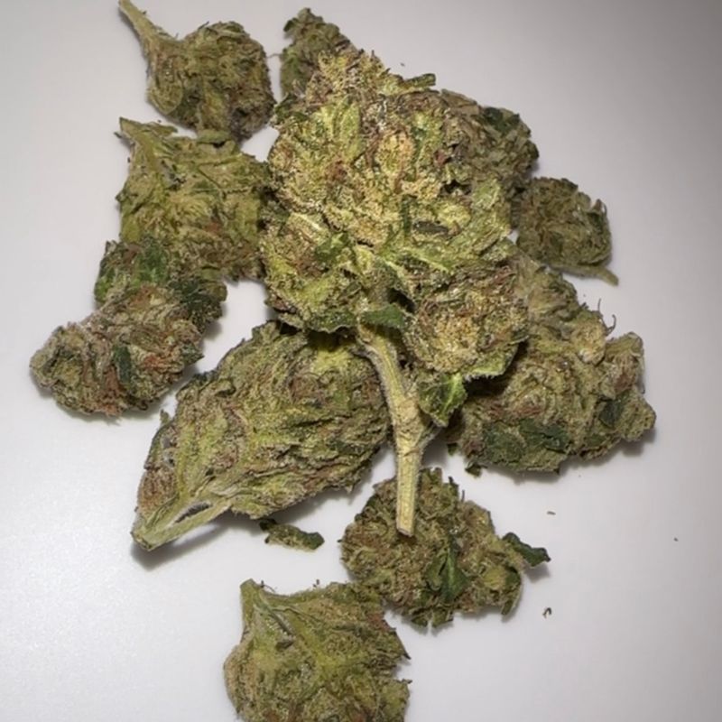 Galactic Warheads X KTK