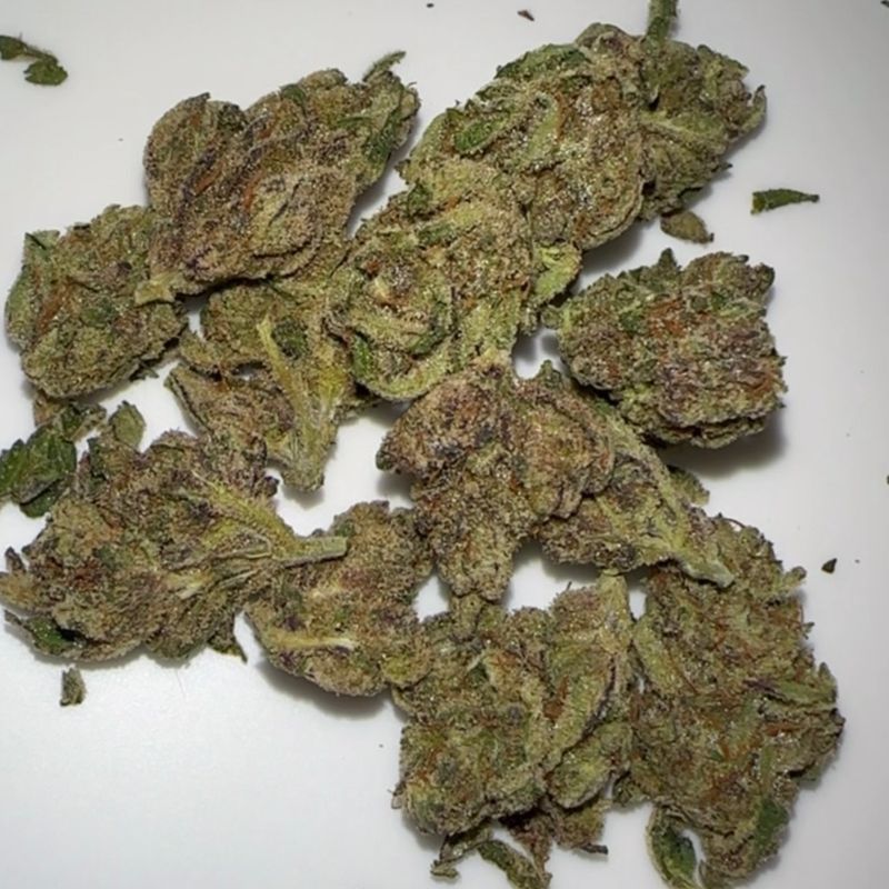 Lemon Cherry Gelato X OG