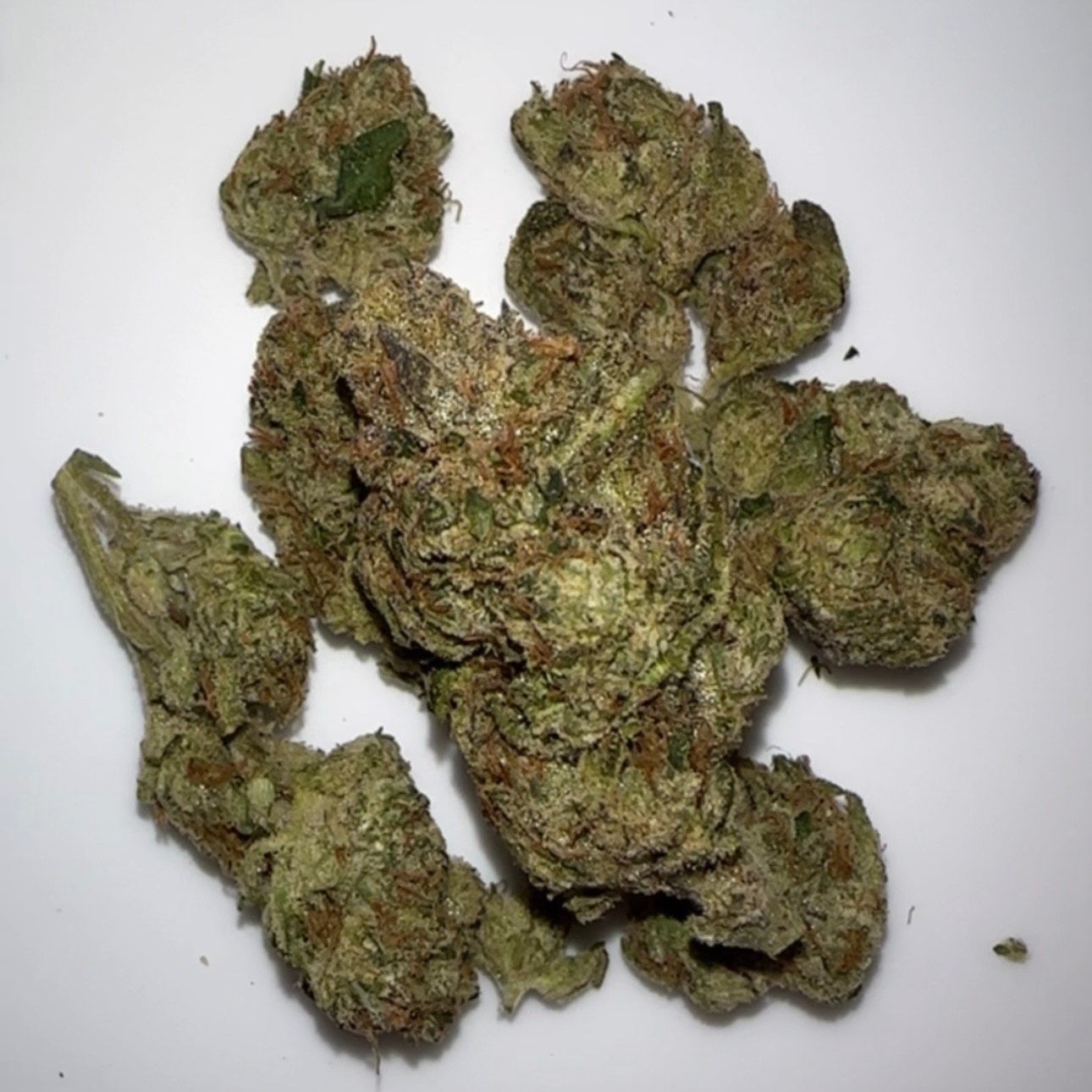 Lemon Cherry Delight X KTK