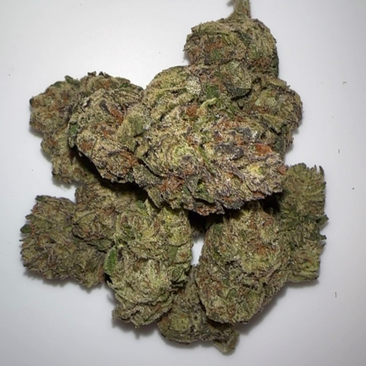 Tropic Thunder