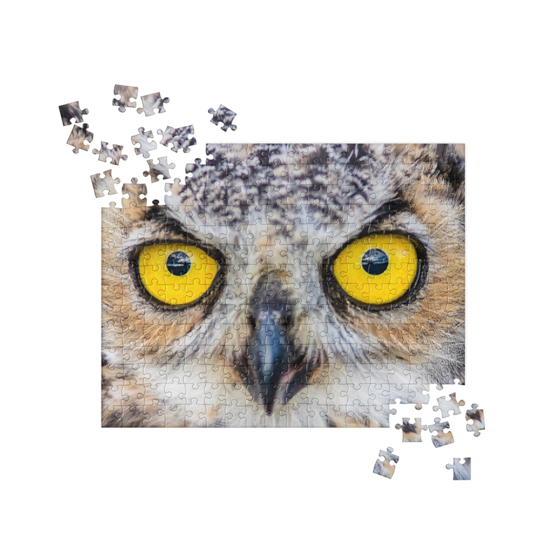 Owl Eyes—Jigsaw puzzle