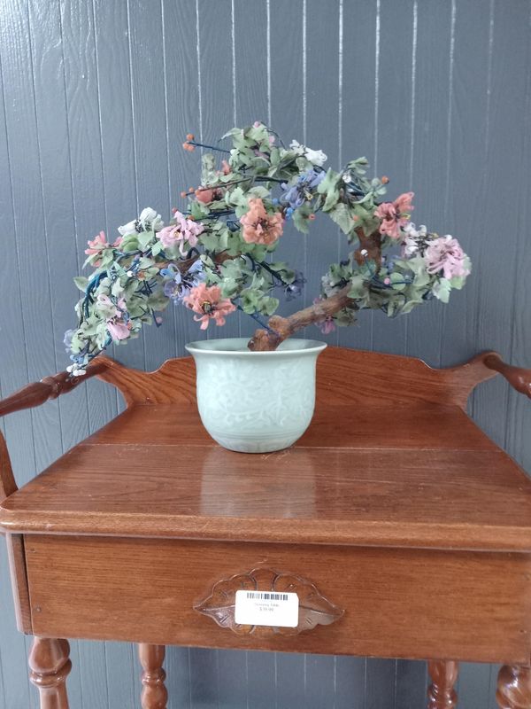 Bonsai Tree
