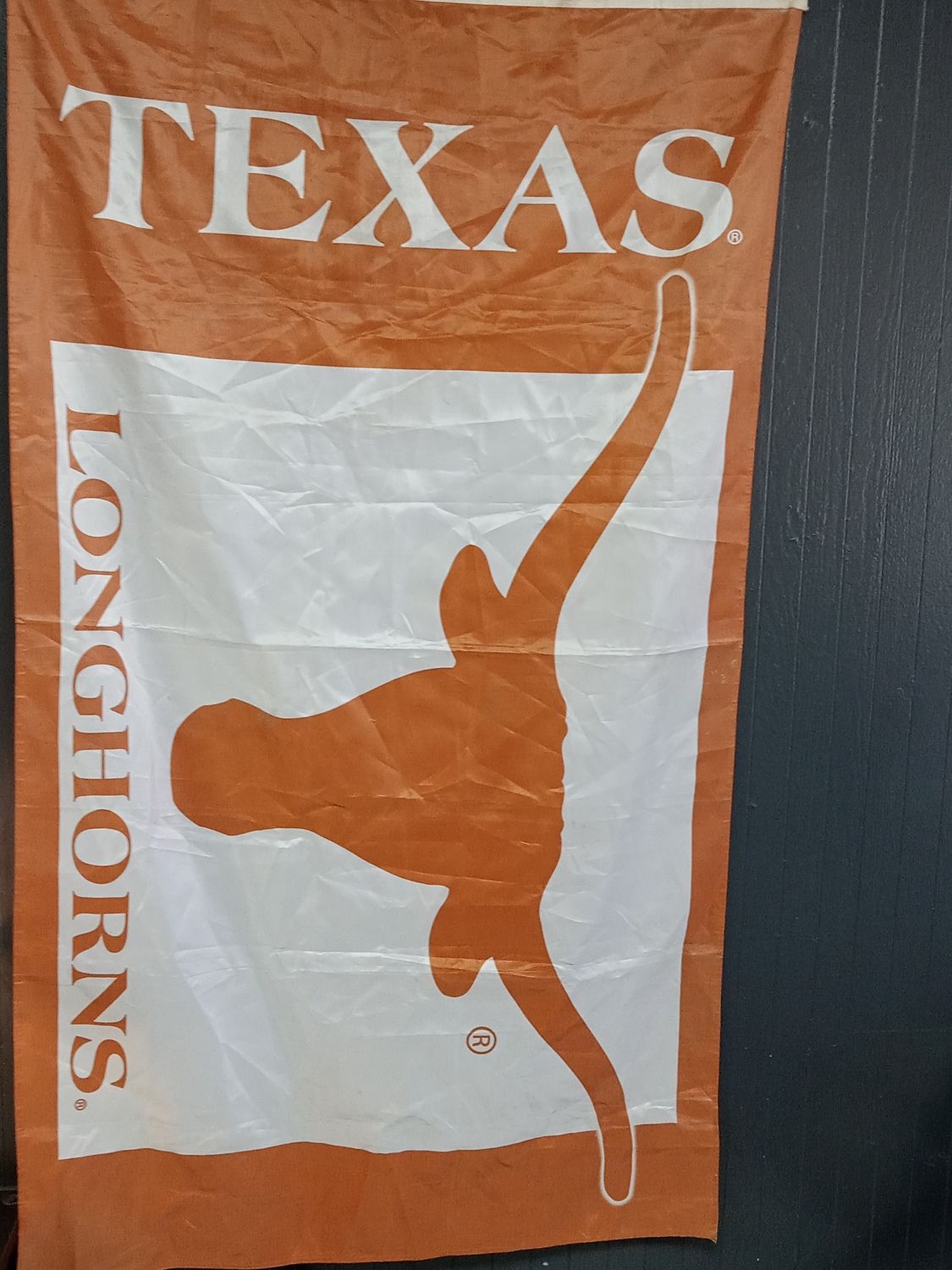 Texas Longhorns Flag