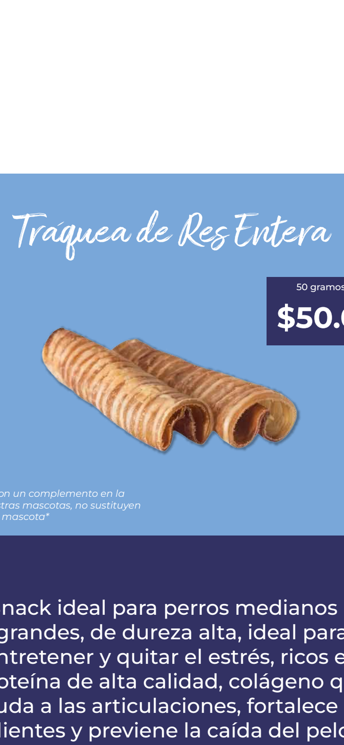 Tráquea de Res entera