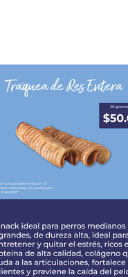 Tráquea de Res entera