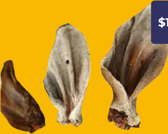Oreja de Res