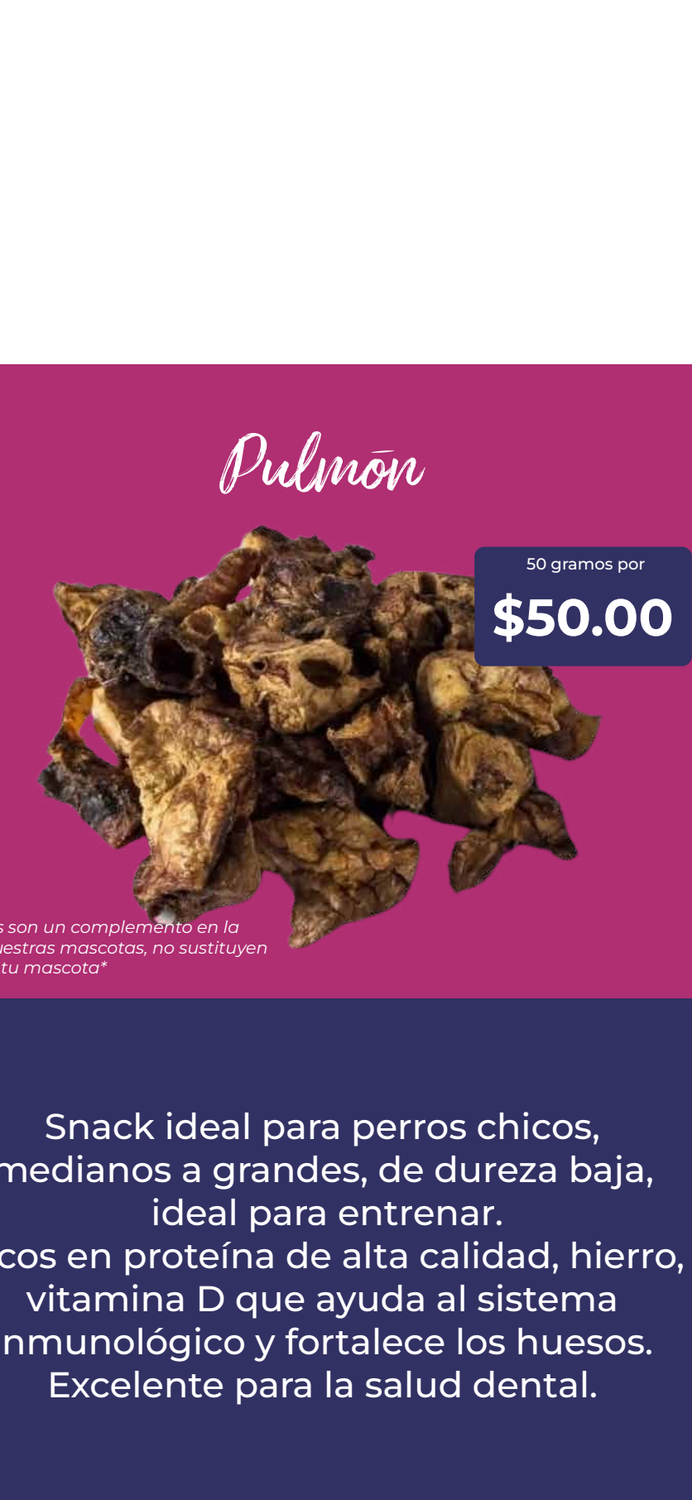 Pulmón