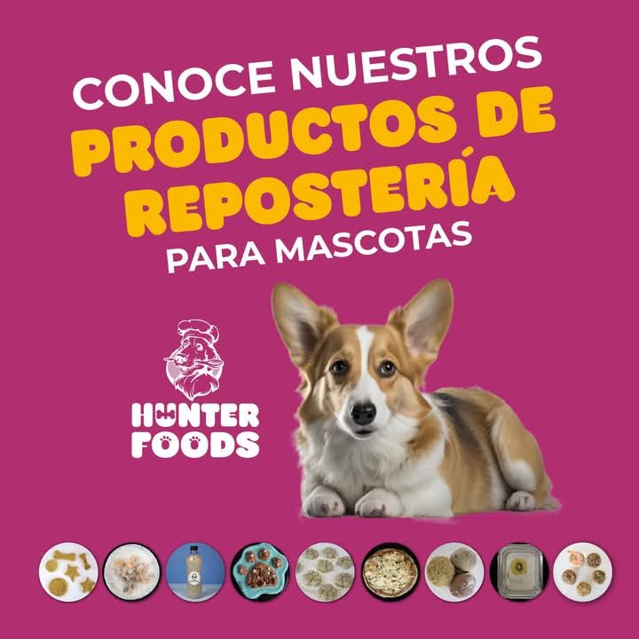 REPOSTERÍA