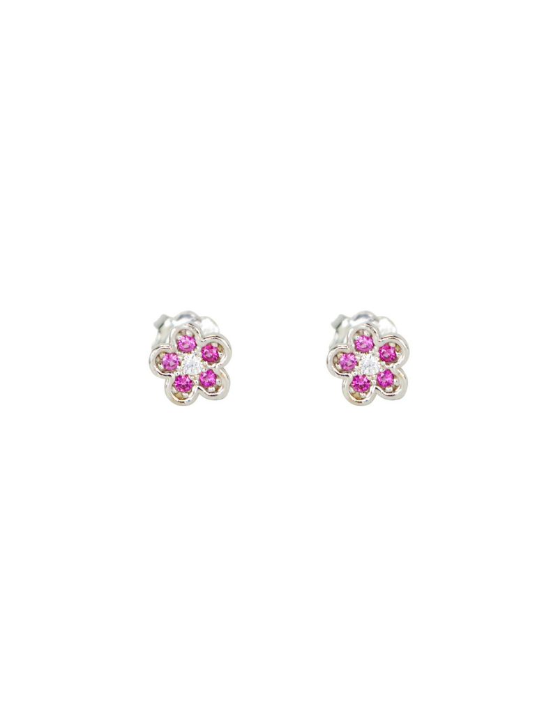 Boucles D'oreilles fixes