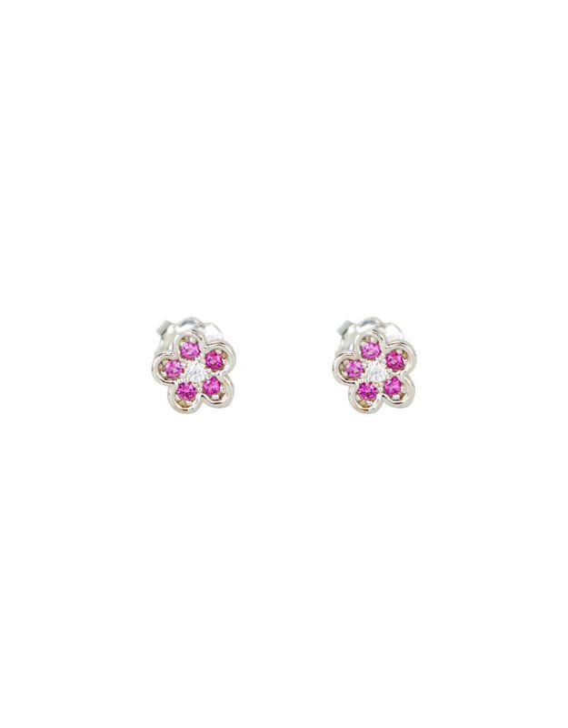 Boucles D'oreilles fixes