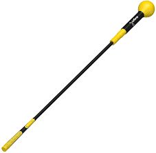 Gold Whip Tempo Trainer