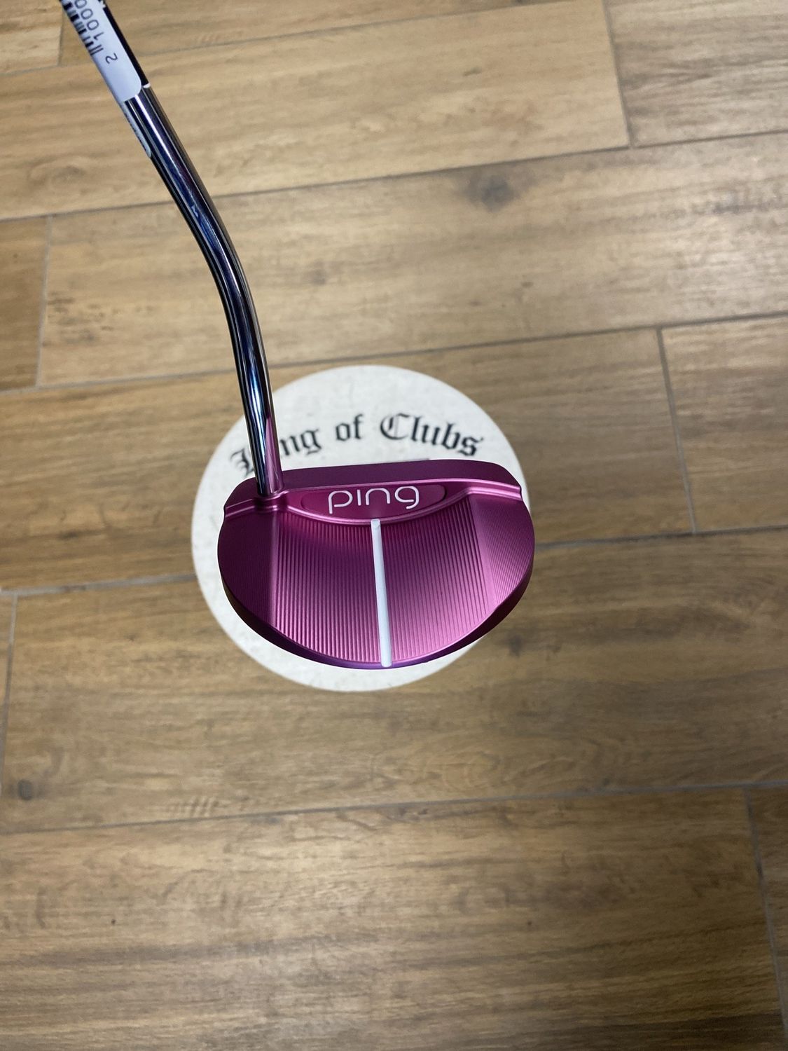 Demo Ping GLE2 Echo Putter