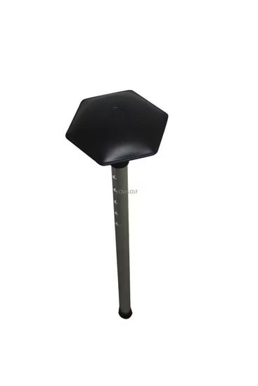 Back Bone Travel Stick