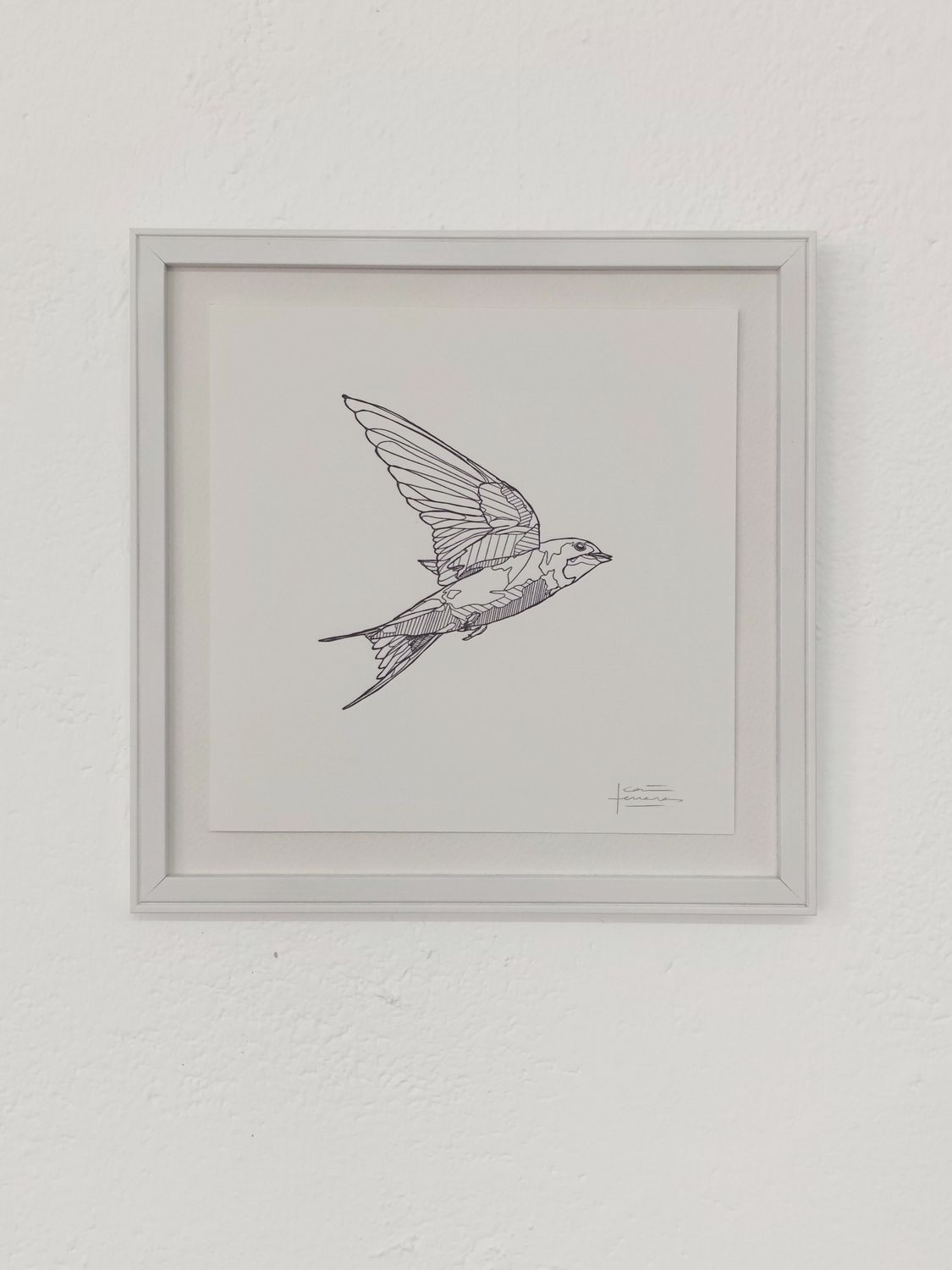 Golondrina