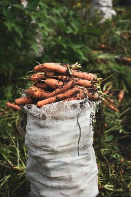 Sale/Organically Grown