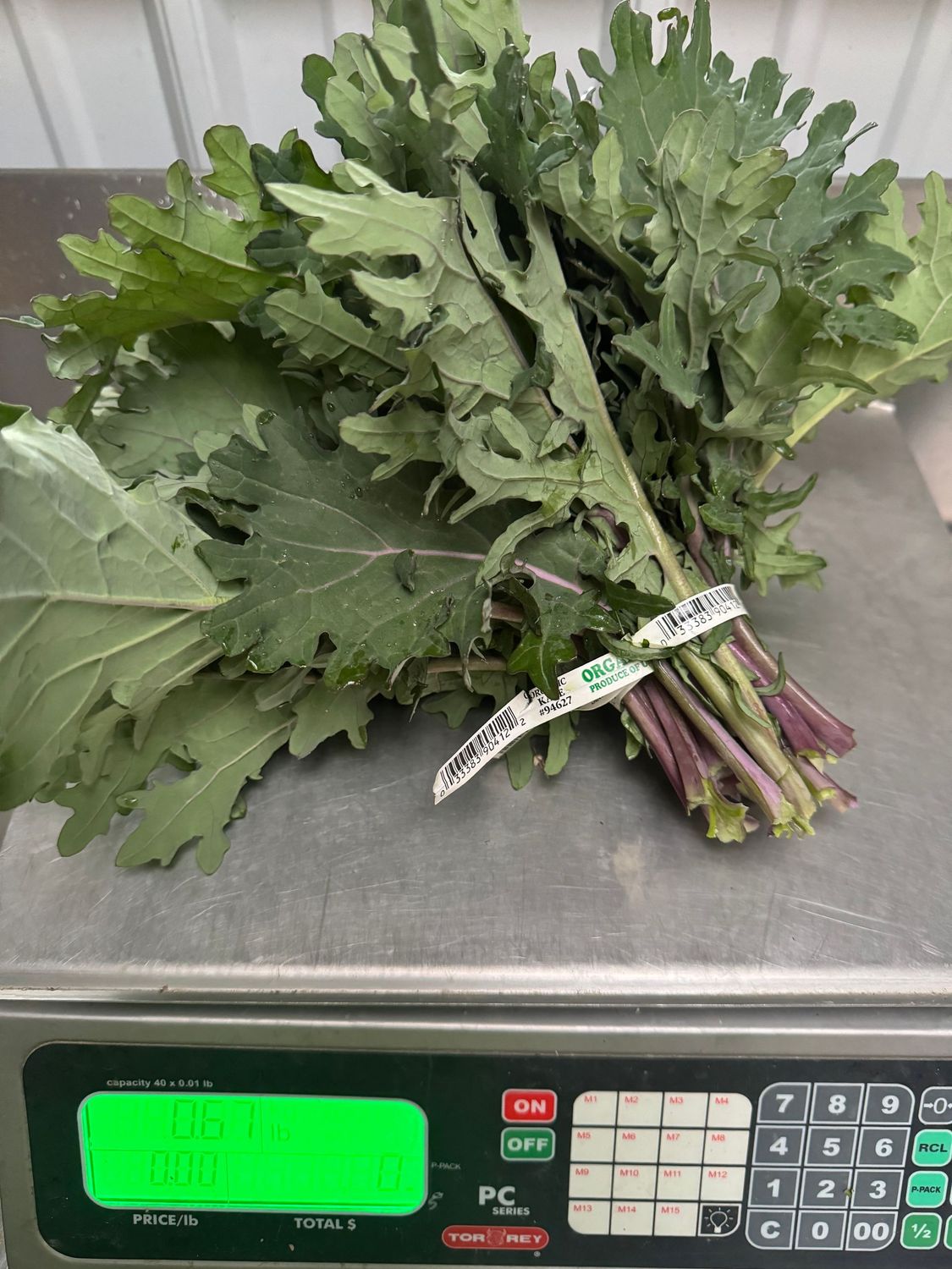 Red Russian Kale