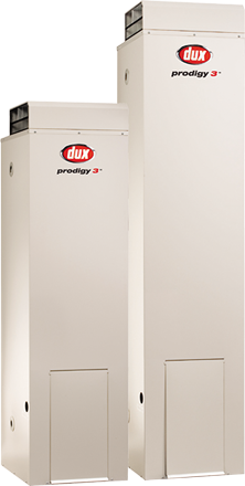 dux prodigy 3 - 170L - natural gas - fully installed
