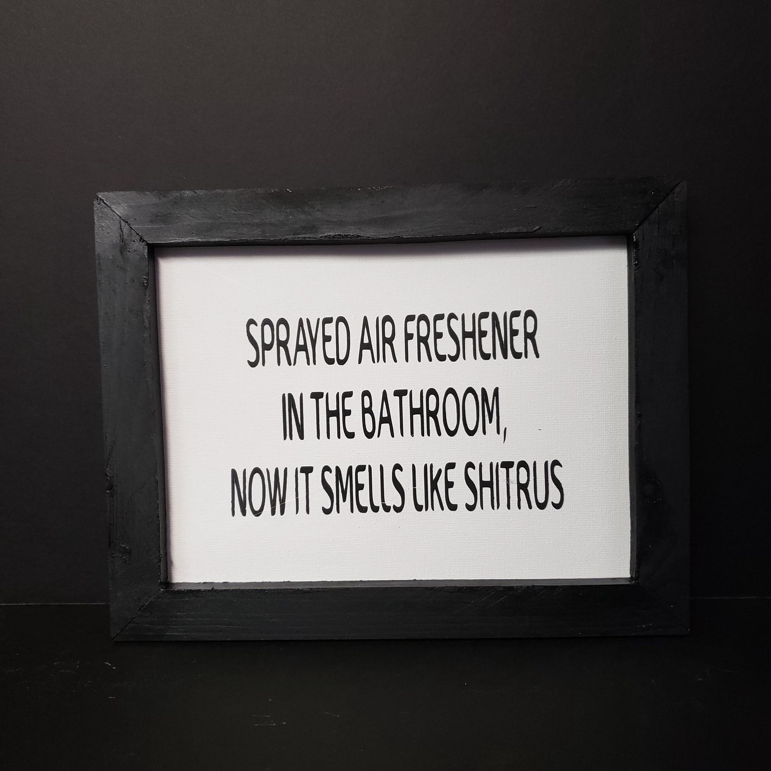 Bathroom Humor-Selfies