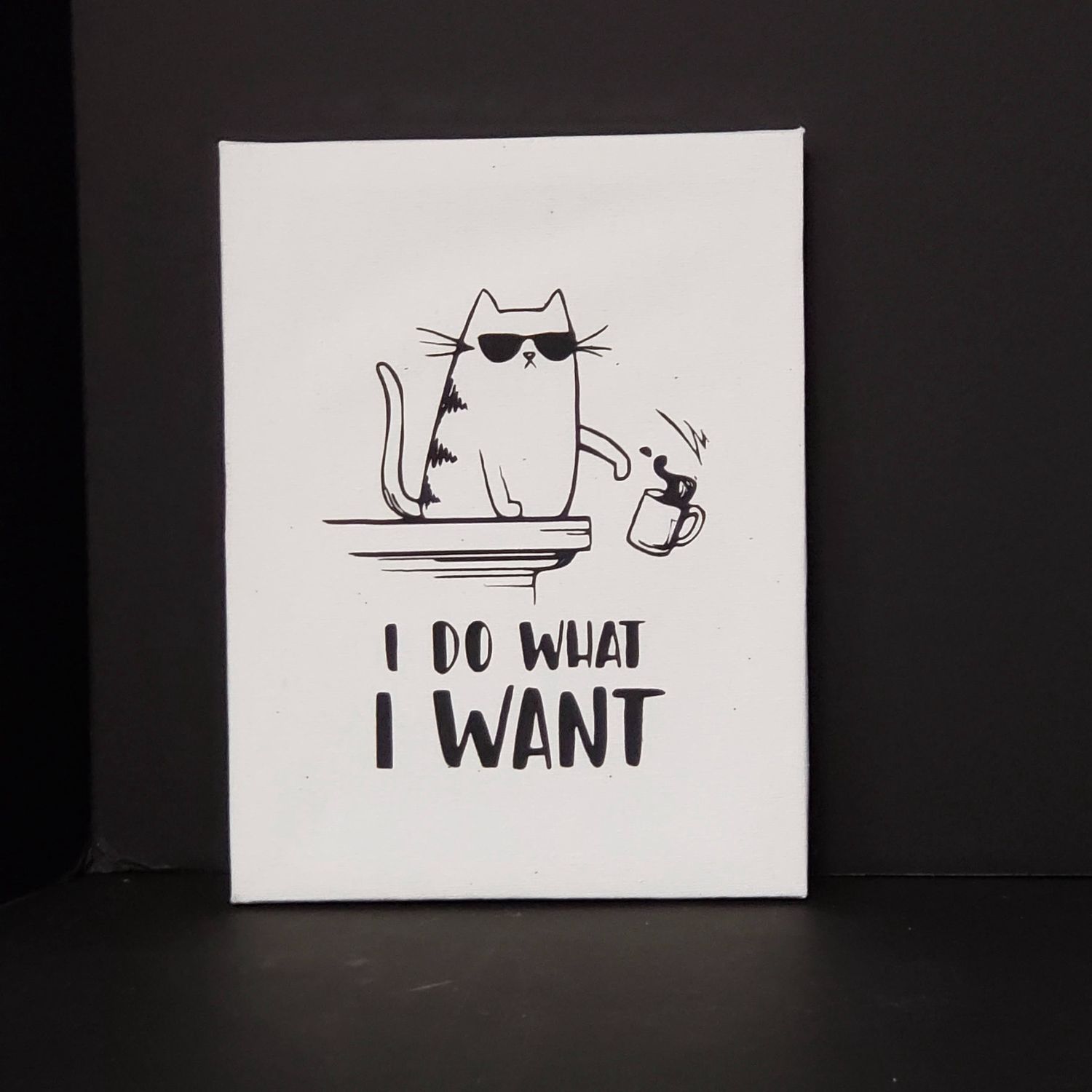 Snarky humor-Cat do what I want