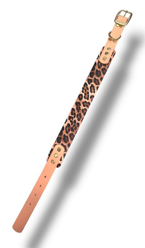 Leopard Élégance