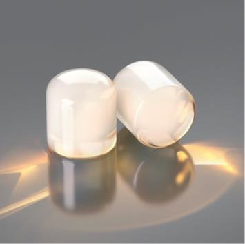 DENTSPLY CELTRA PRESS