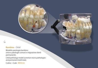 MODELLINI ODONTOIATRIA