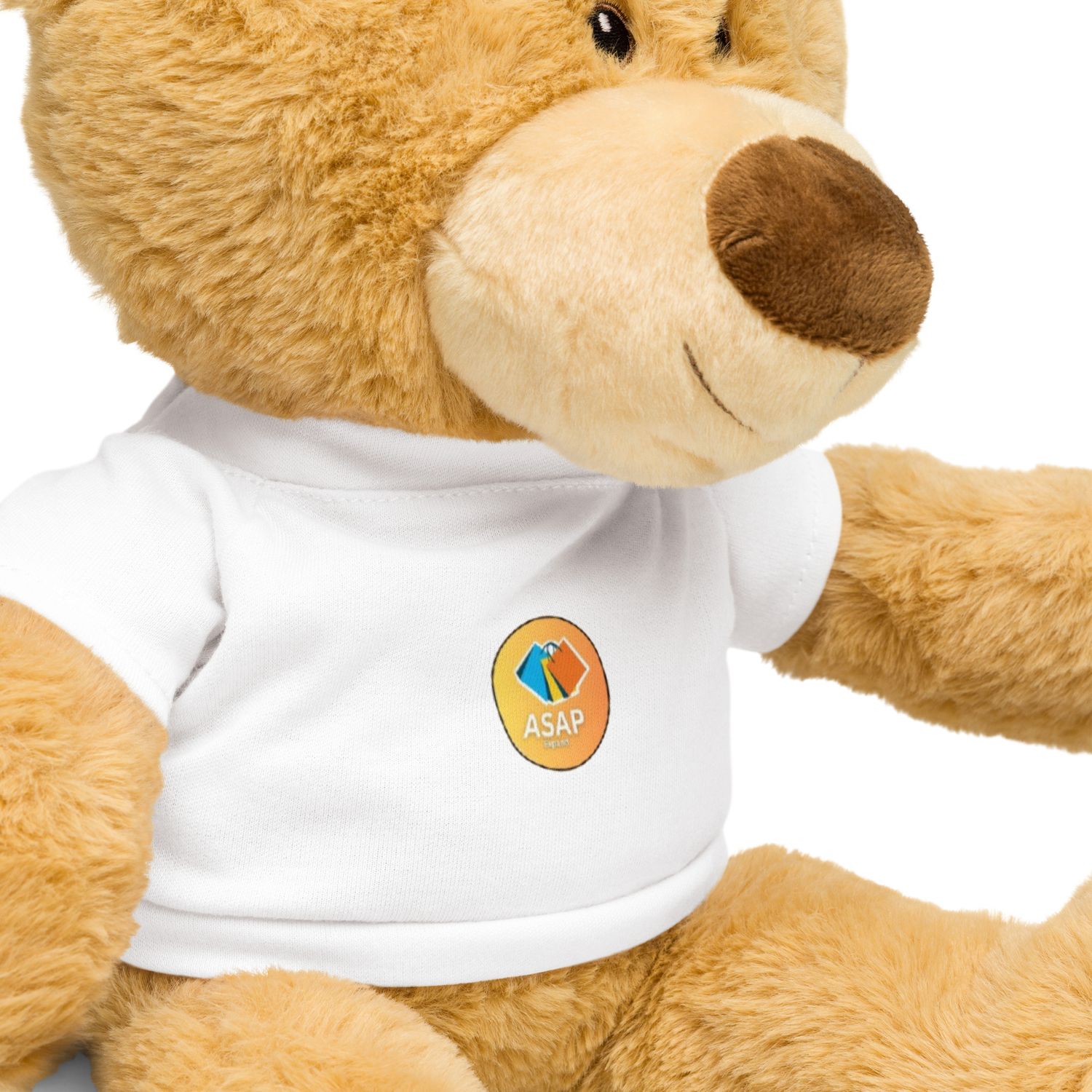 ASAP Teddy bear with a t-shirt