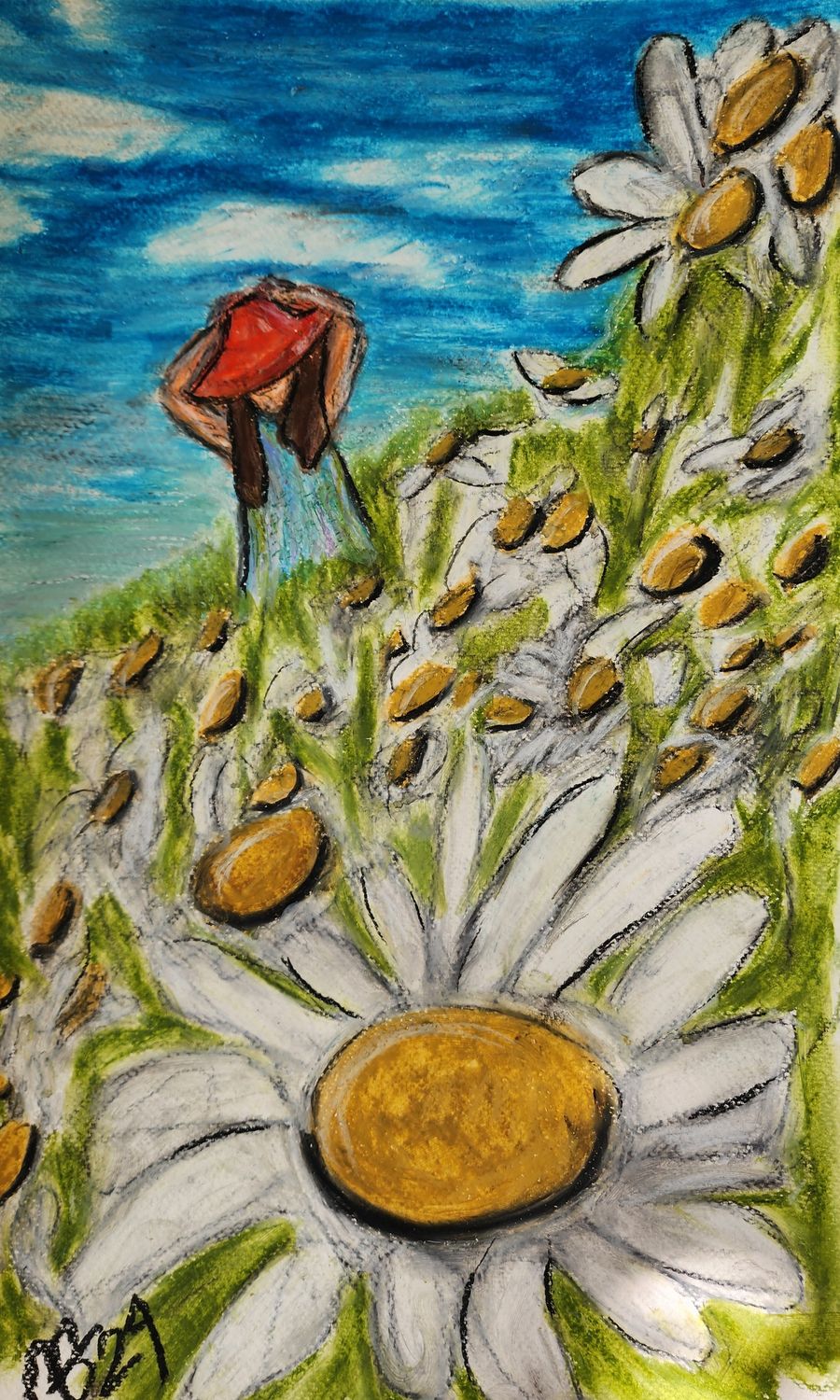 Champs de marguerites