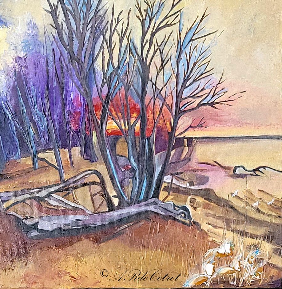 À l'ombre des bois silencieux