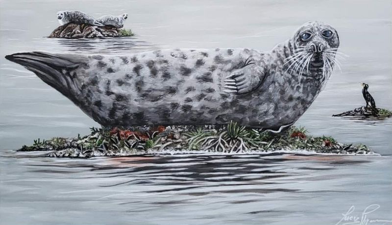 À chacun sa roche À chacun sa roche