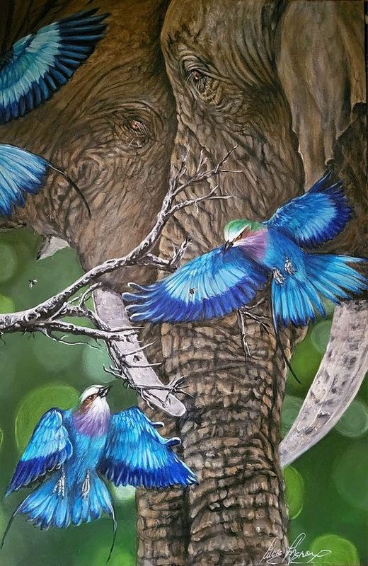 Protection Protection