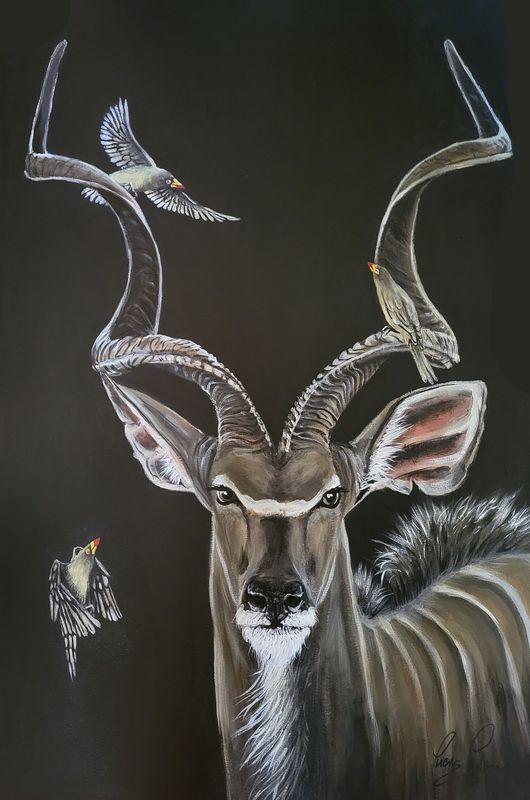 Kudo & Pick-boeufs Kudo & Pick-boeufs