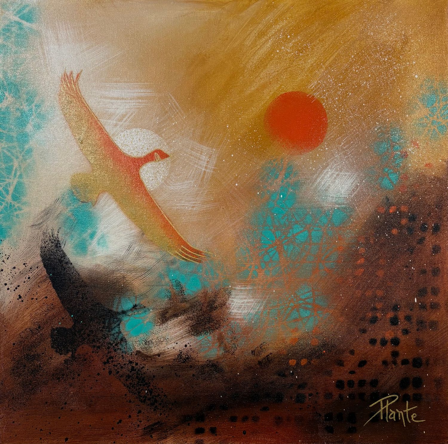 De l'ombre à la lumière