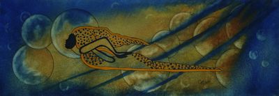Traverser le rêve