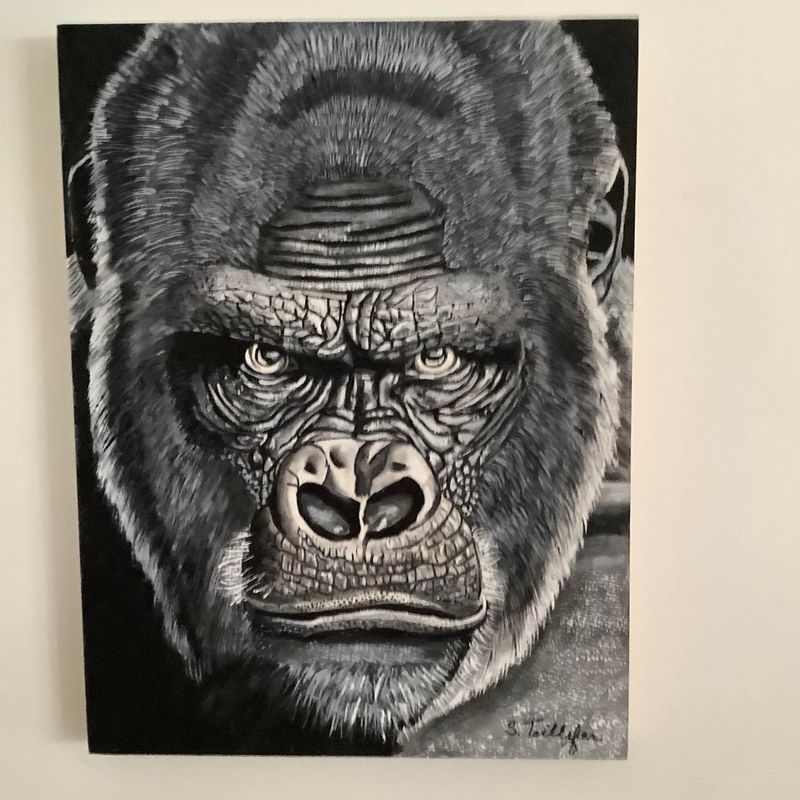 Je te vois Je te vois