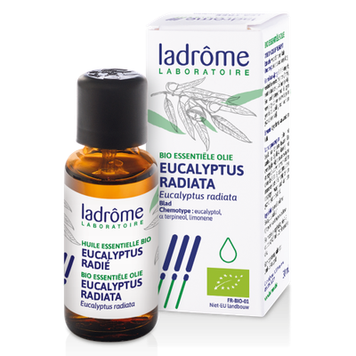 Eucalyptus Radiata EO - 10 ml