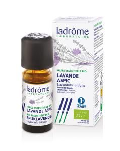 Spijklavendel EO - 10 ml