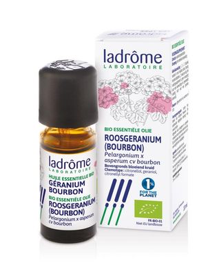 roos geranium - Pelargonium x asperum