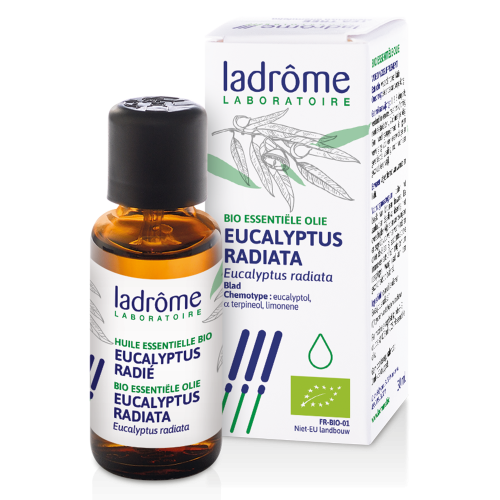 Eucalyptus Radiata EO - 10 ml