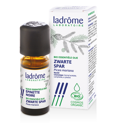 Epinette Noire EO - 10ml