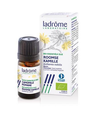 Roomse kamille - Anthemis nobilis