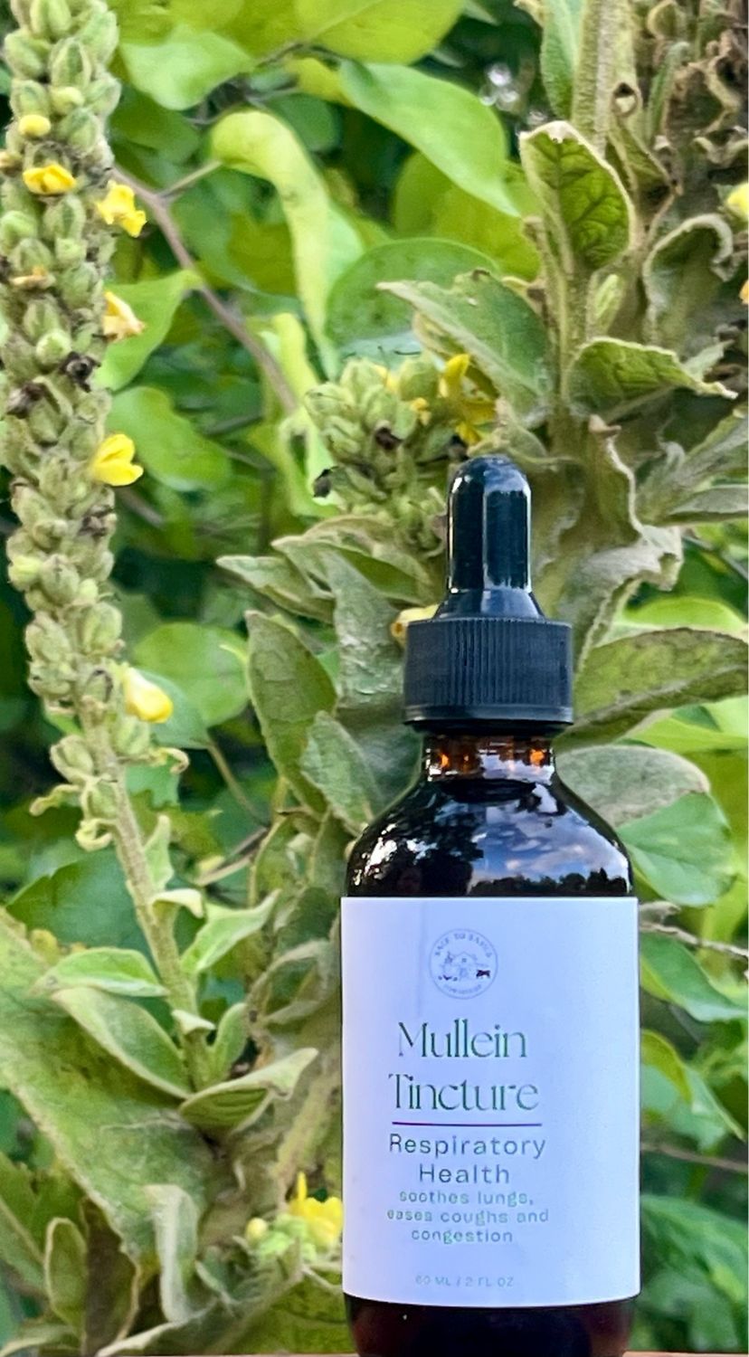 Mullein Tincture