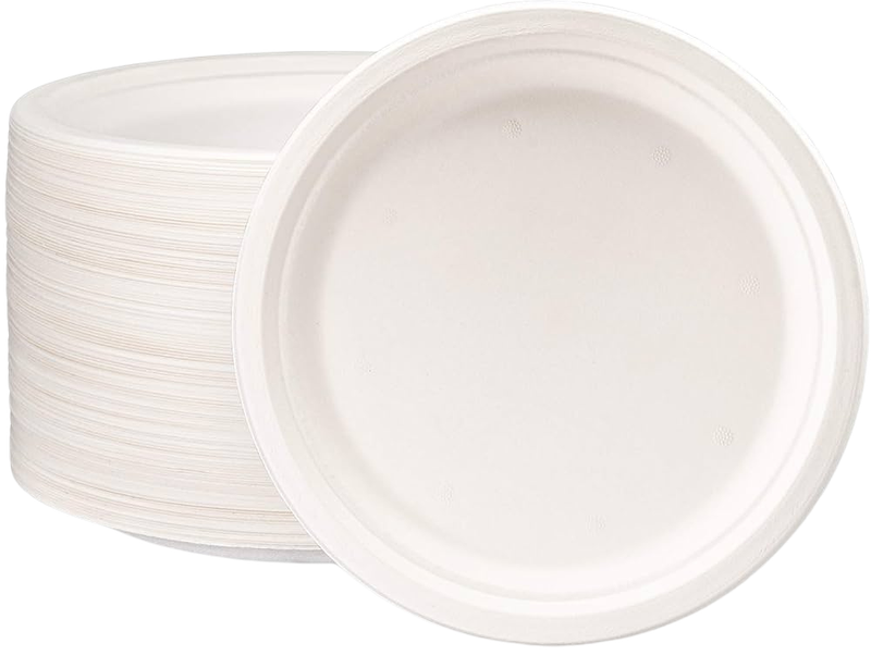 10&quot; BAGASSE ROUND PLATE