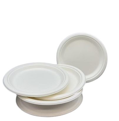 6&quot; BAGASSE PLATE