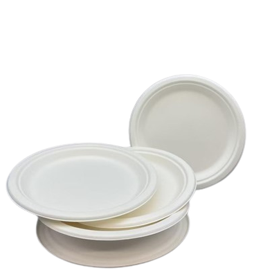 6" BAGASSE PLATE